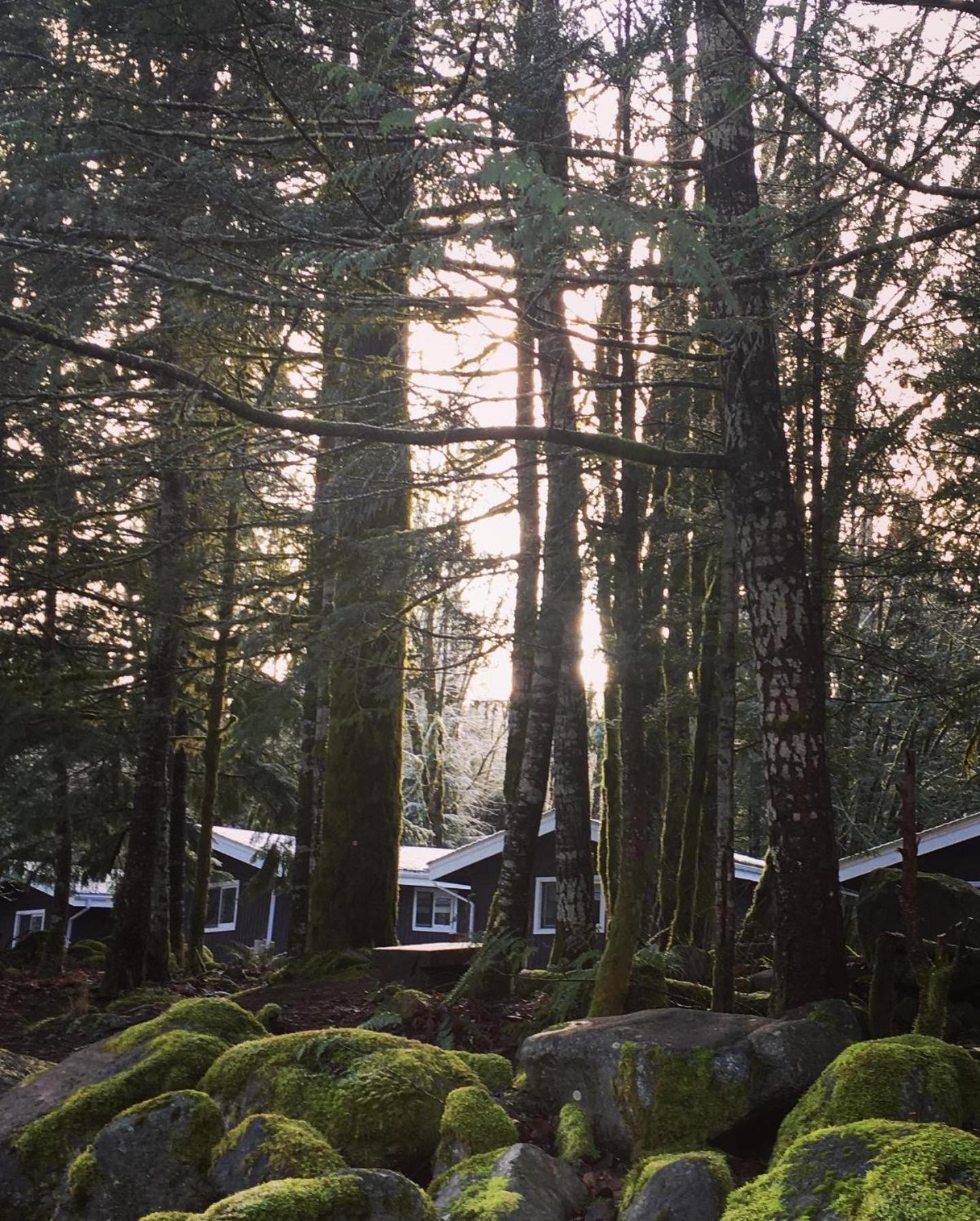 Sunwolf Riverside Cabins Brackendale Dış mekan fotoğraf