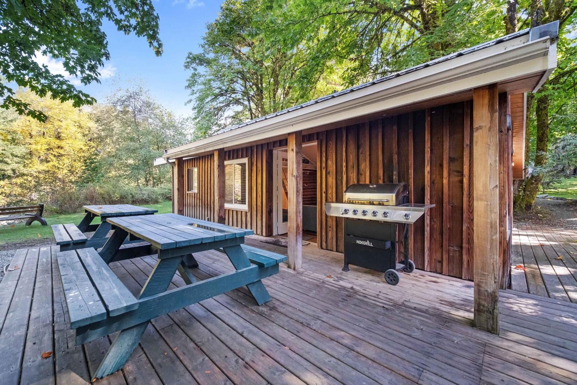 Sunwolf Riverside Cabins Brackendale Dış mekan fotoğraf
